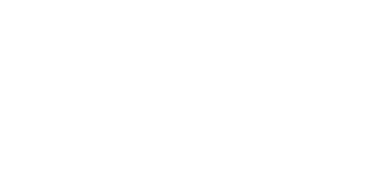 MCSIS Logo