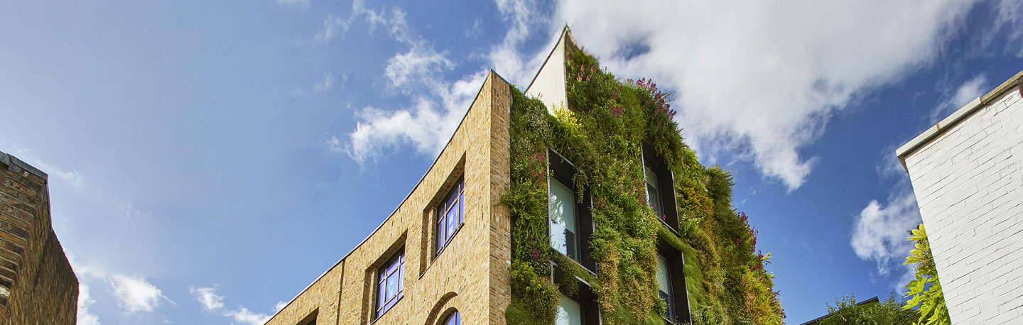 Building facade with a green living wall under a blue sky